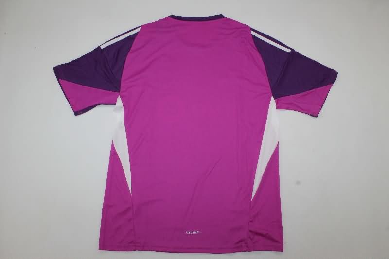 AAA Quality Los Angeles FC 2025 Goalkeeper Purple Soccer Jersey