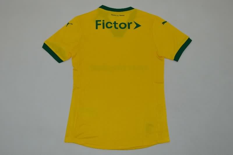 AAA Quality Palmeiras 25/26 Third Soccer Jersey (Player)