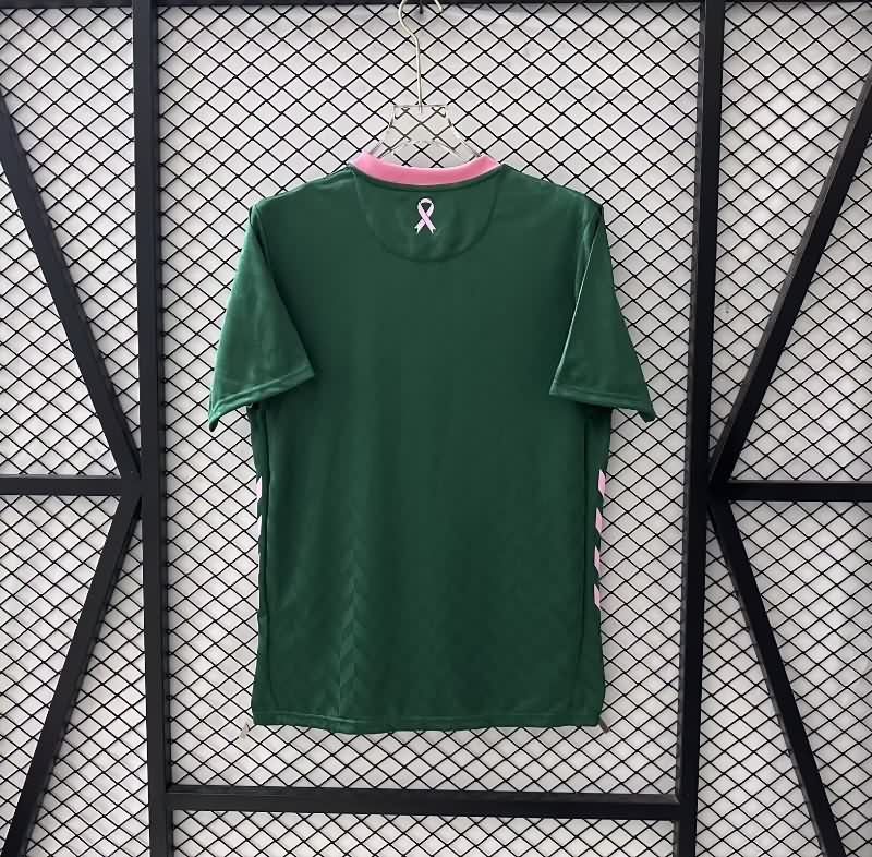 AAA Quality Saint Etienne 25/26 Special Soccer Jersey