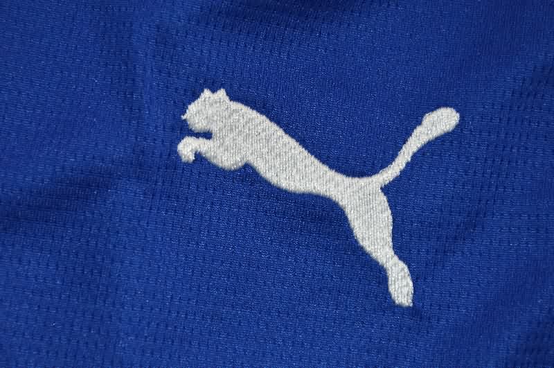 AAA Quality Marseilles 25/26 Third Soccer Shorts