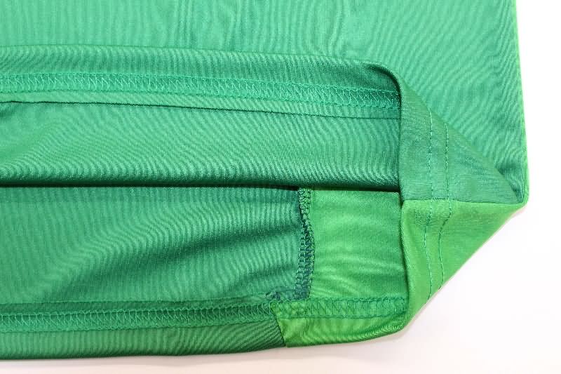 AAA Quality Argentina 2025 Goalkeeper Green Soccer Jersey