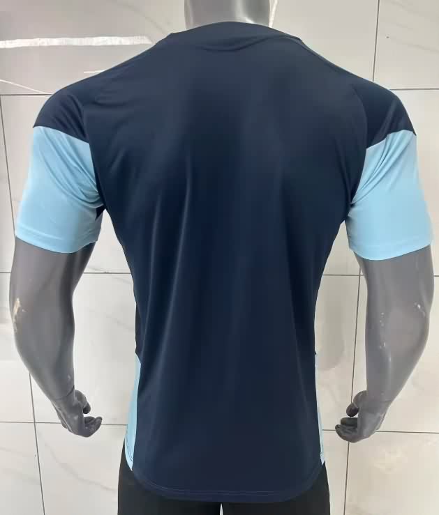 AAA Quality Argentina 2026 Training Soccer Jersey