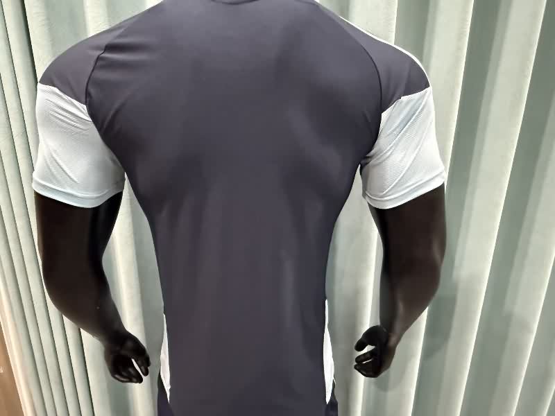 AAA Quality Argentina 2026 Training Soccer Jersey (Player)