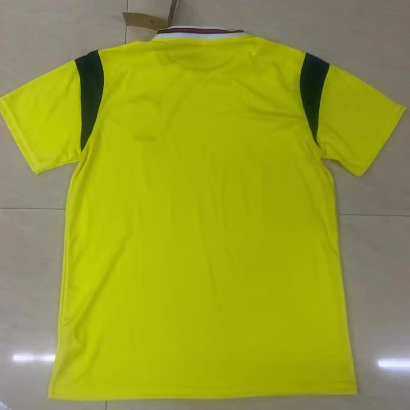 Brazil Training Jersey Replica 2023