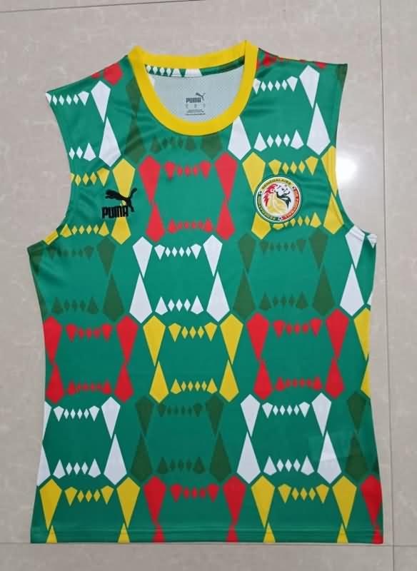 Cameroon Training Jersey Vest Replica 2023/24