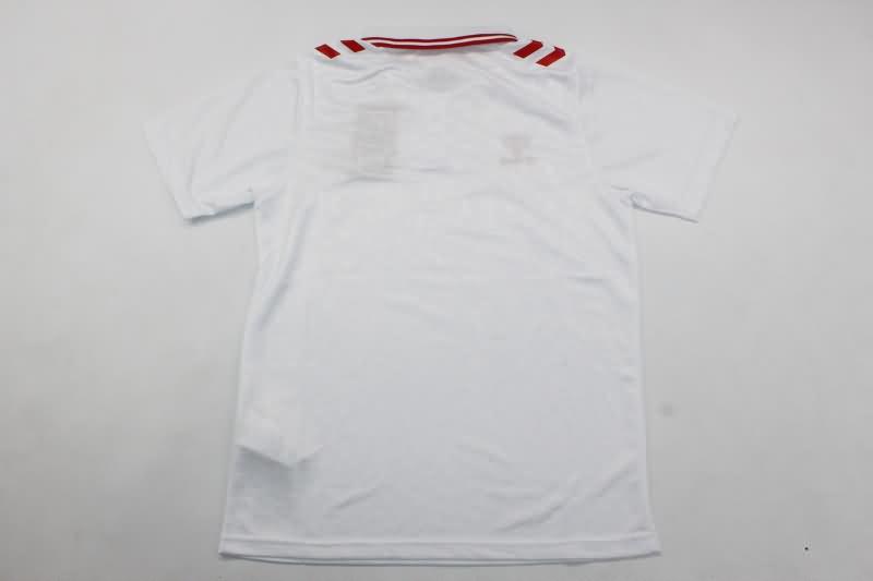 Denmark Soccer Jersey Away Replica 2024