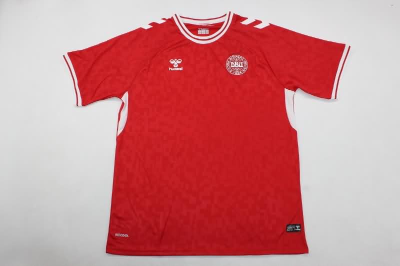 Denmark Soccer Jersey Home Replica 2024