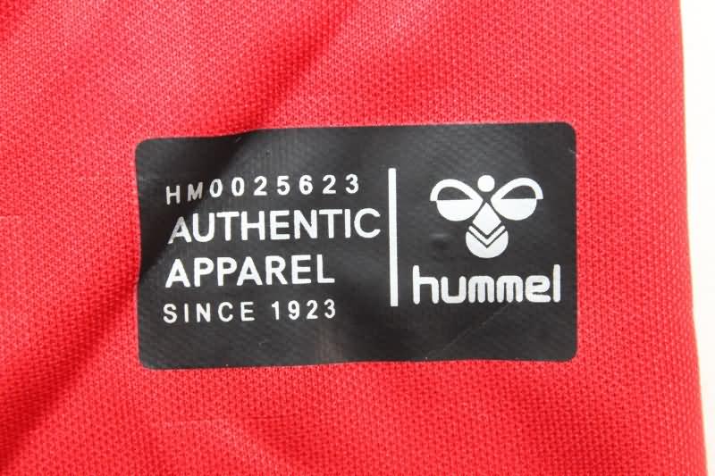 Denmark Soccer Jersey Home Replica 2024