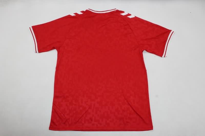 Denmark Soccer Jersey Home Replica 2024