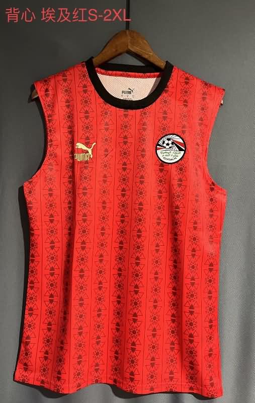 Egypt Training Jersey Vest Replica 2023/24