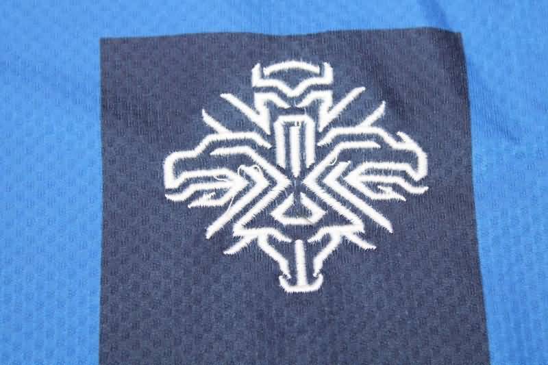Iceland Soccer Jersey Home Replica 2022