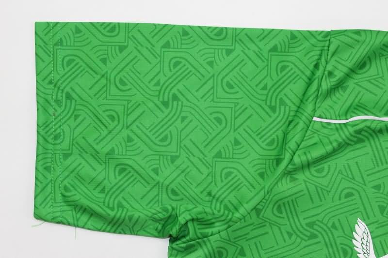 Ireland Soccer Jersey Home Replica 2024