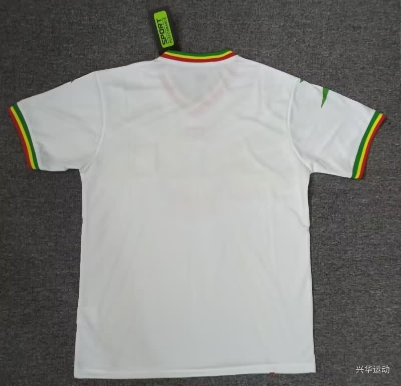 Mali Soccer Jersey Away Replica 2023