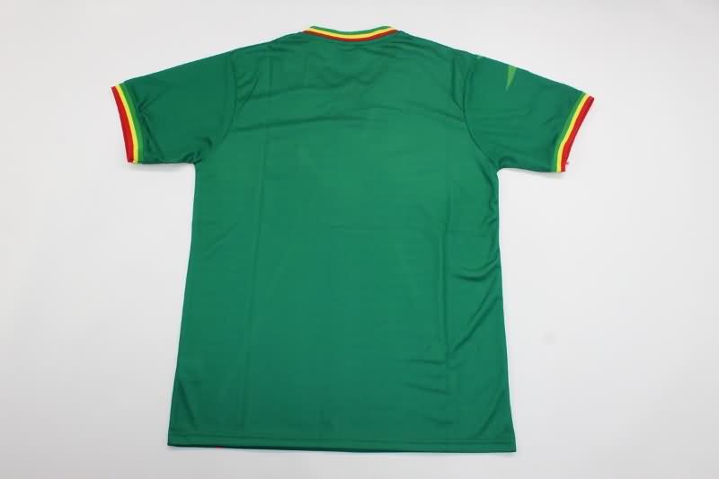 Mali Soccer Jersey Home Replica 2023