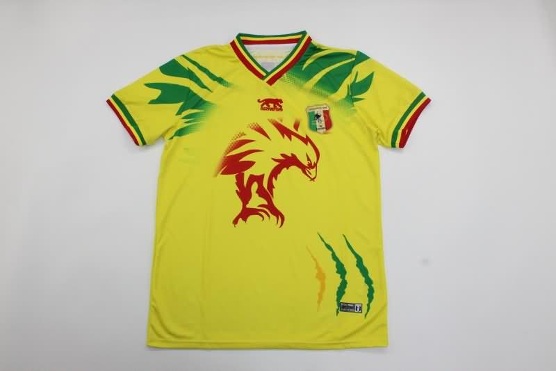 Mali Training Jersey Replica 2023