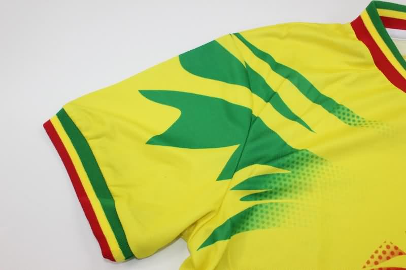 Mali Training Jersey Replica 2023