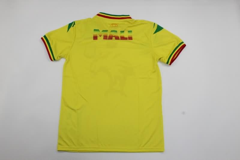 Mali Training Jersey Replica 2023