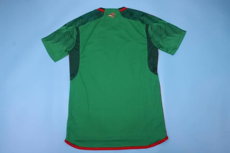 Mexico Soccer Jersey Home Replica 2022 World Cup