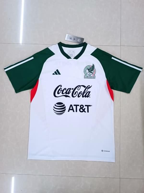 Mexico Training Jersey 02 Replica 2023