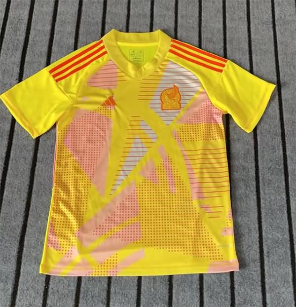 Mexico Soccer Jersey Copa America Goalkeeper Yellow Replica 2024