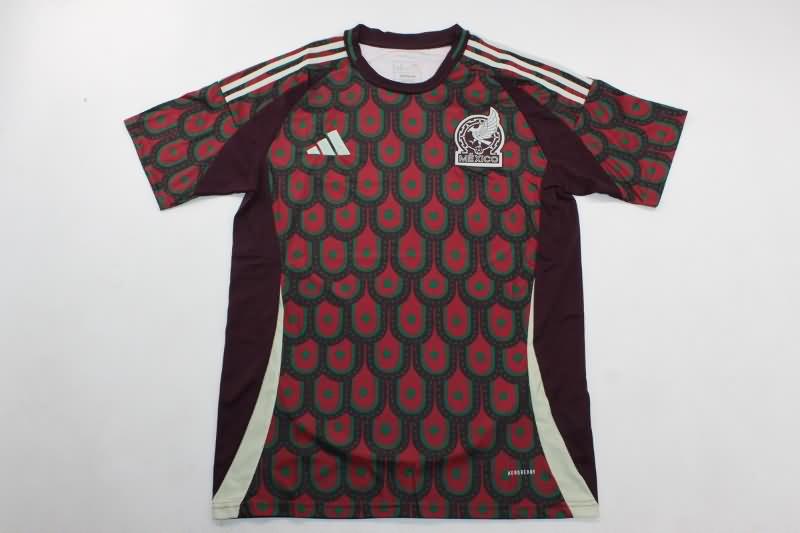 Mexico Soccer Jersey Copa America Home Replica 2024