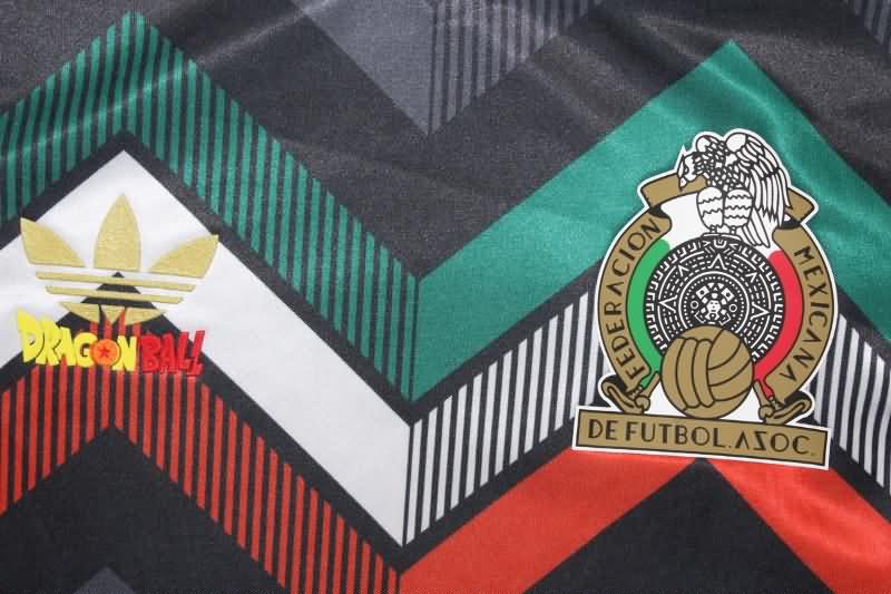 Mexico Soccer Jersey Special (Player) 2024