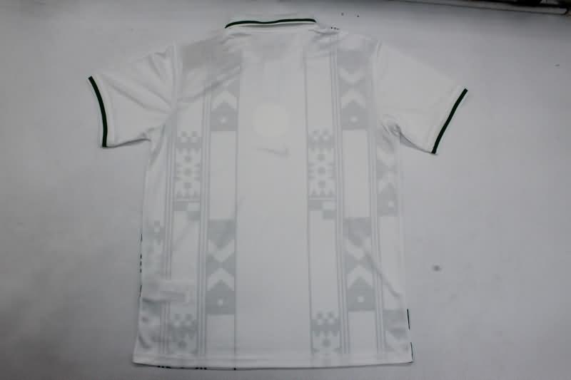 Nigeria Soccer Jersey Away Replica 2024