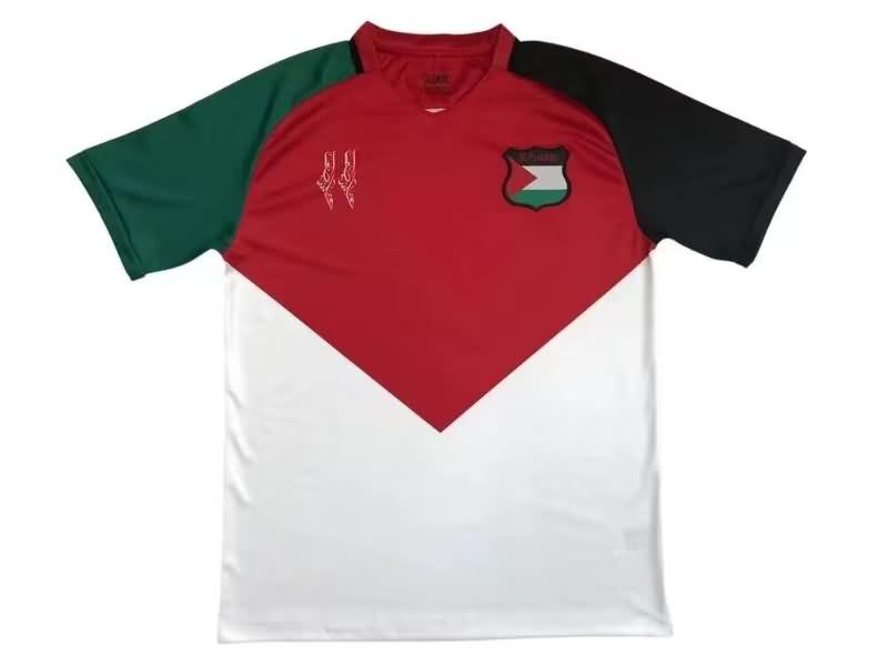 Palestine Soccer Jersey Special Replica 2023/24