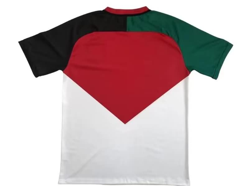 Palestine Soccer Jersey Special Replica 2023/24