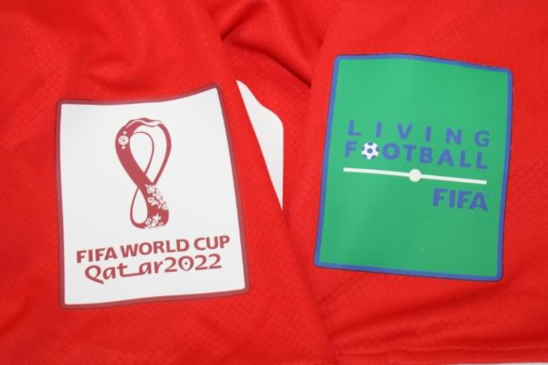 Poland Soccer Jersey Away Replica 2022 World Cup