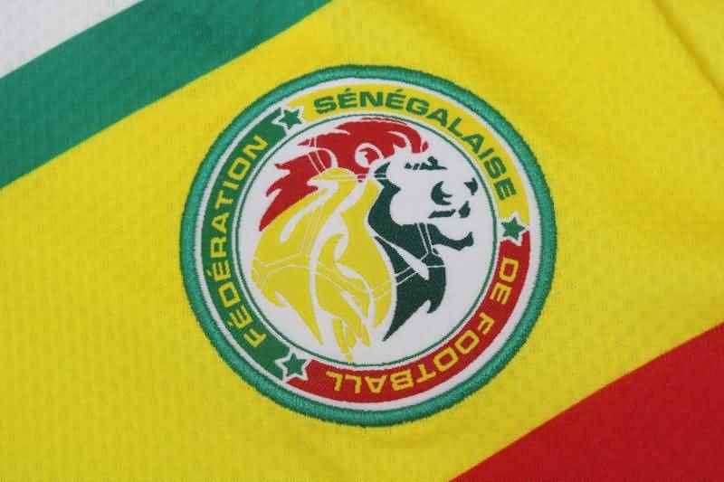 Senegal Soccer Jersey Home Replica 2022 World Cup