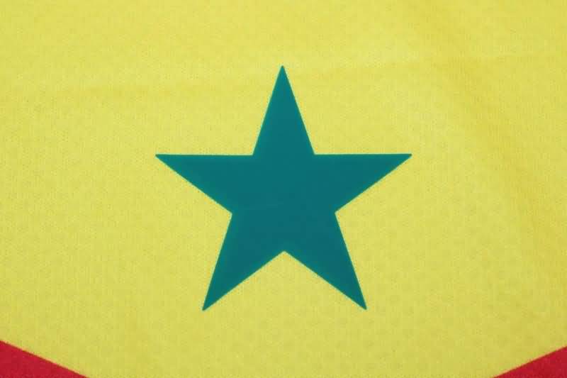 Senegal Soccer Jersey Home 2022 World Cup (Player)