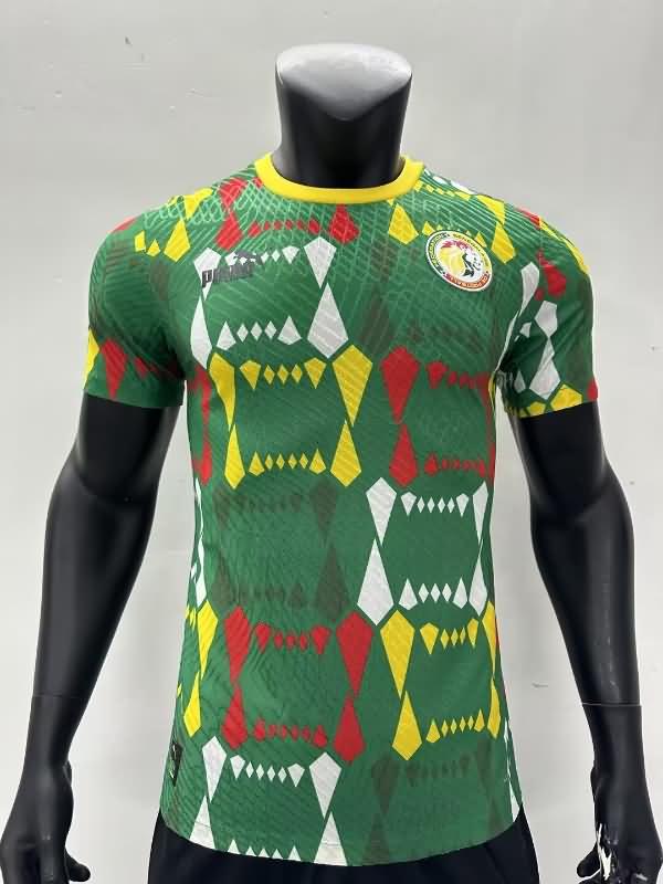 Senegal Training Jersey Replica 2023