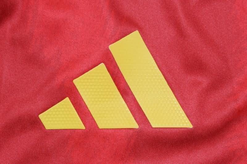 Spain Soccer Jersey Home (Player) 2024