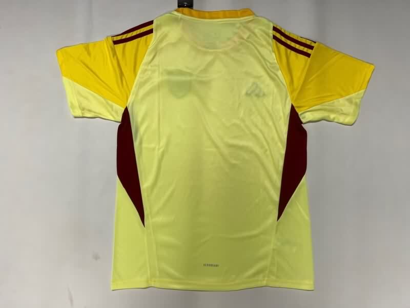 AAA Quality Venezuela 2025 Goalkeeper Yellow Soccer Jersey