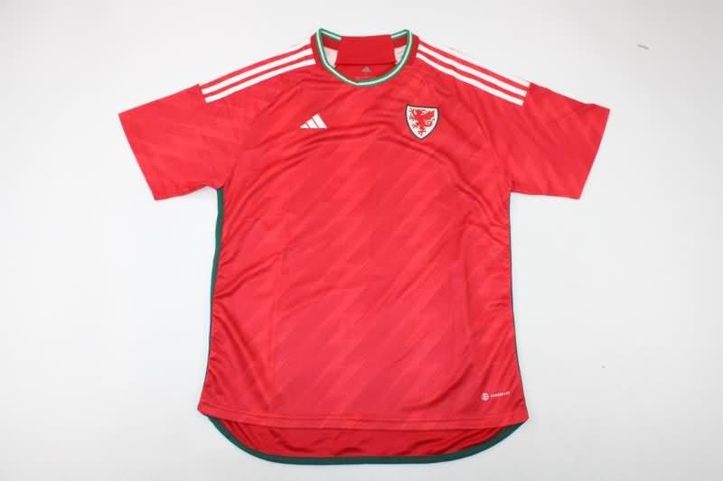 Wales Soccer Jersey Home Replica 2022 World Cup