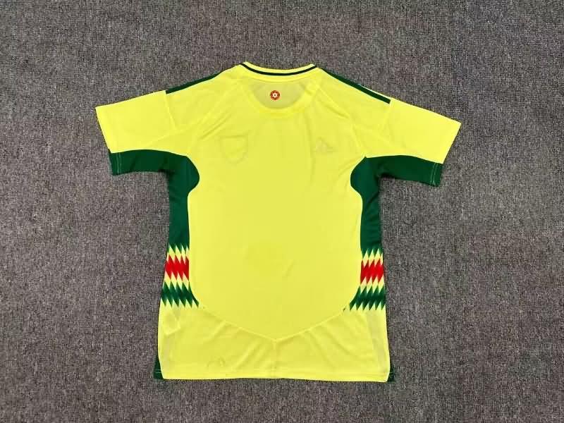 Wales Soccer Jersey Away Replica 2024