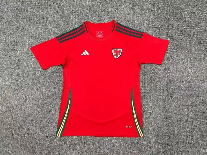 Wales Soccer Jersey Home Replica 2024