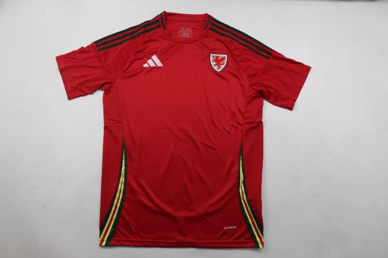 Wales Soccer Jersey Home Replica 2024