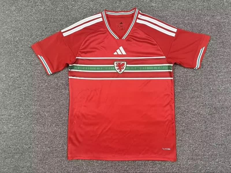 AAA Quality Wales 2026 Home Soccer Jersey