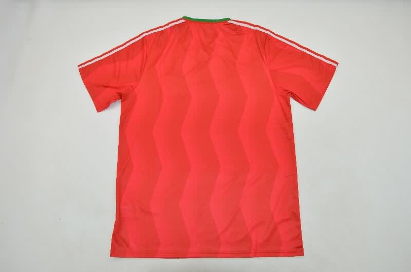 AAA Quality Bulgaria 1986 Away Retro Soccer Jersey