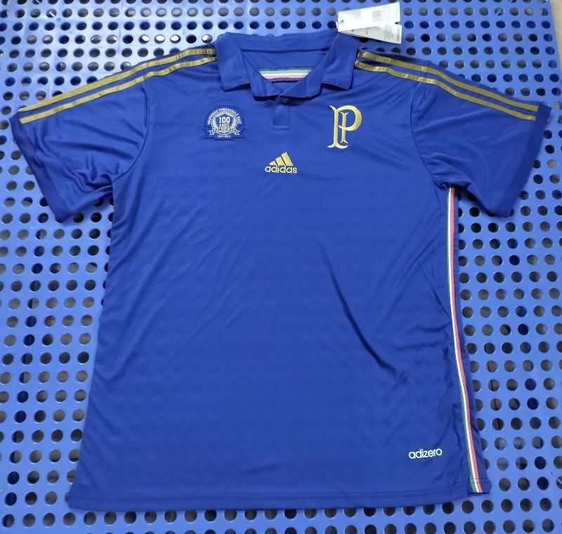 Palmeiras Soccer Jersey Annivrsary Retro Replica 100