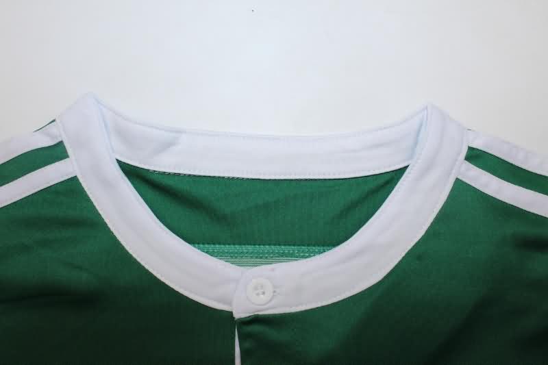 Palmeiras Soccer Jersey Third Retro Replica 2014