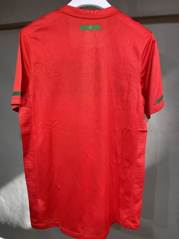 AAA Quality Portugal 2010 Home Retro Soccer Jersey (Player)
