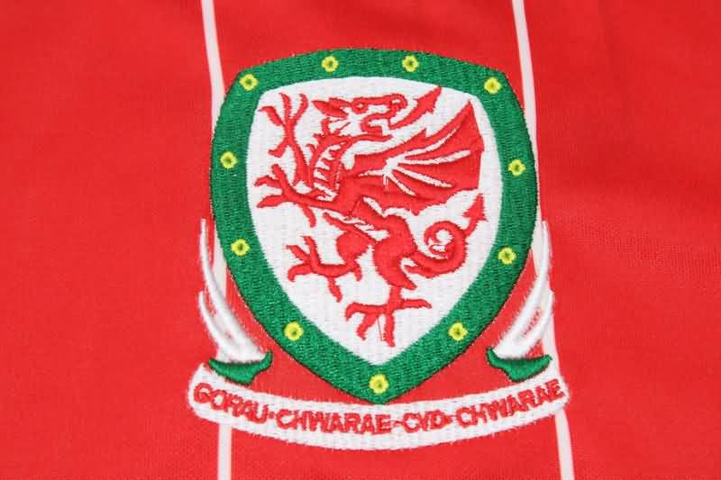 Wales Soccer Jersey Home Retro Replica 2015/16