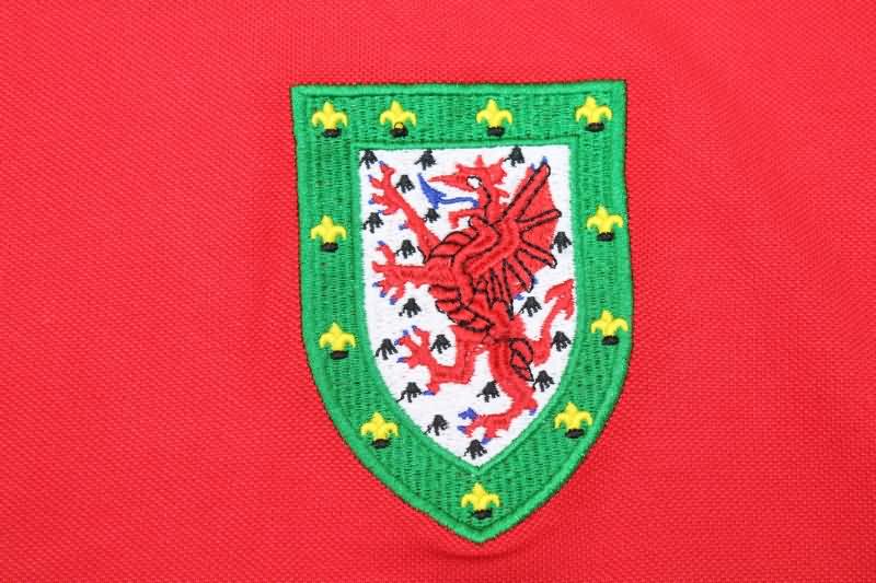 Wales Soccer Jersey Home Retro Replica 1970
